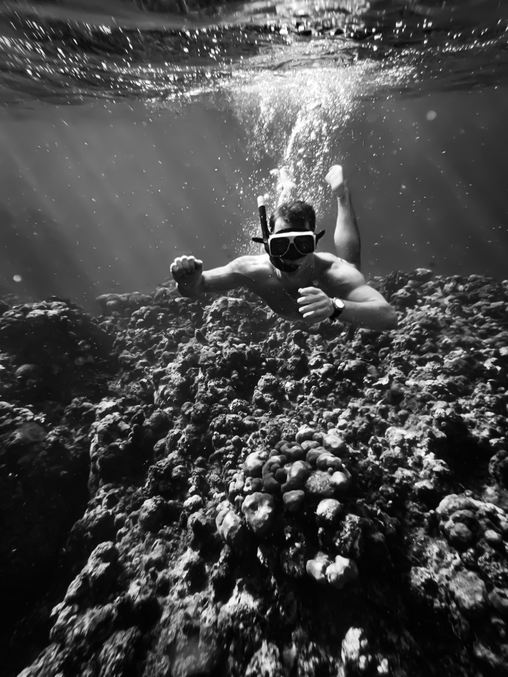 Cruising Into Port: Tips for Booking Your Tender and&nbsp;Excursions