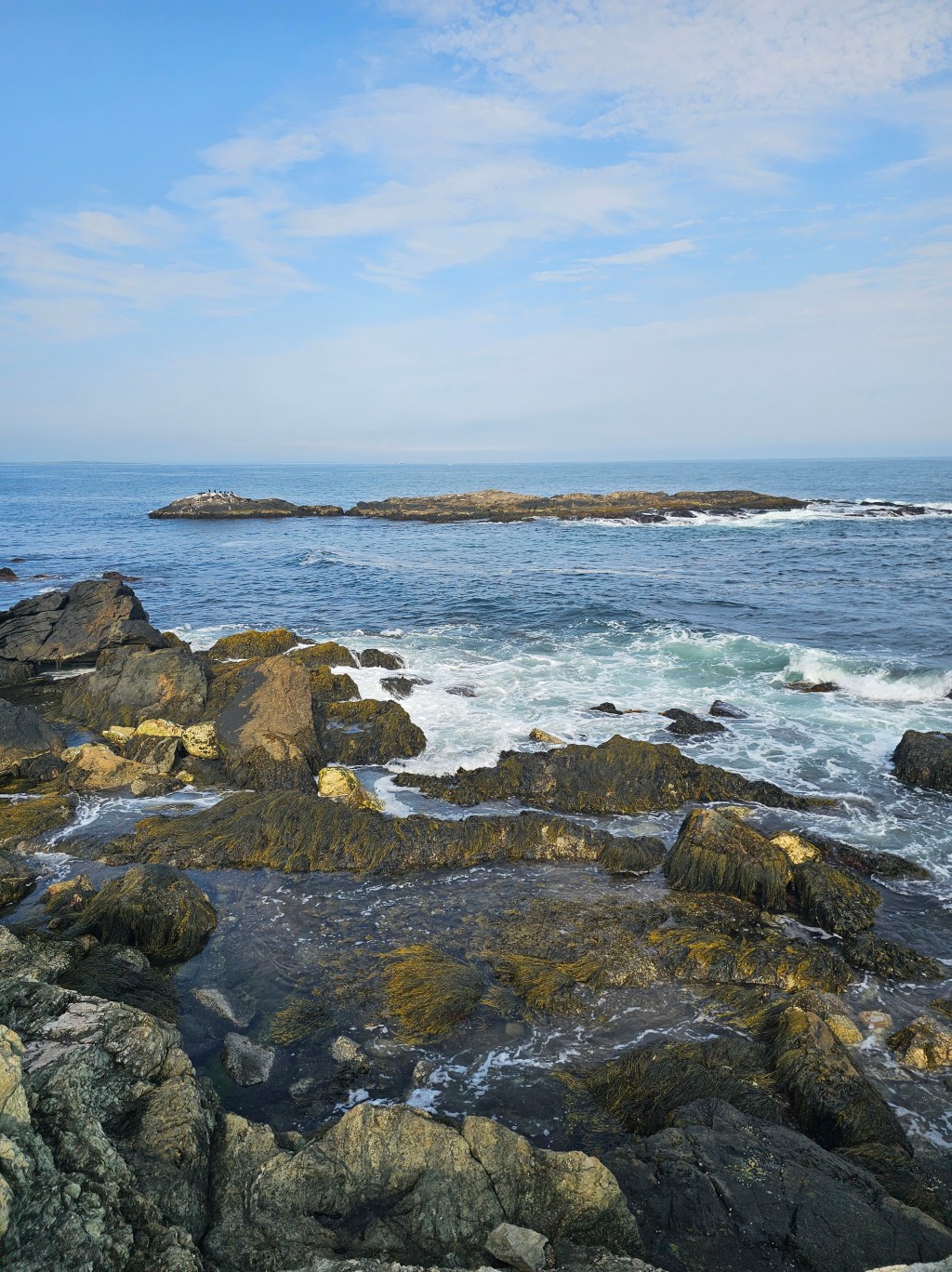 Winter in Newport, Your Rhode Island&nbsp;Staycation