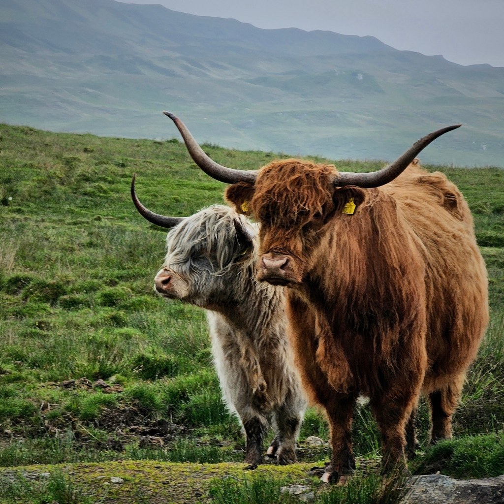 9 Day Scotland&nbsp;Itinerary