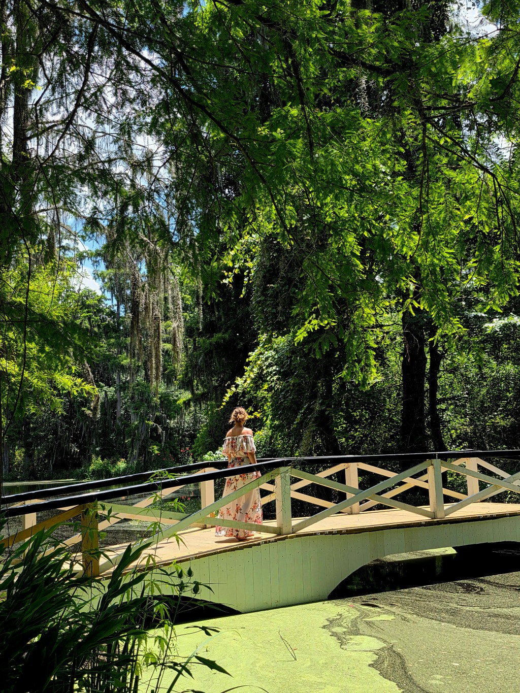 Southern Charm: A Historic Itinerary for Charleston, South&nbsp;Carolina